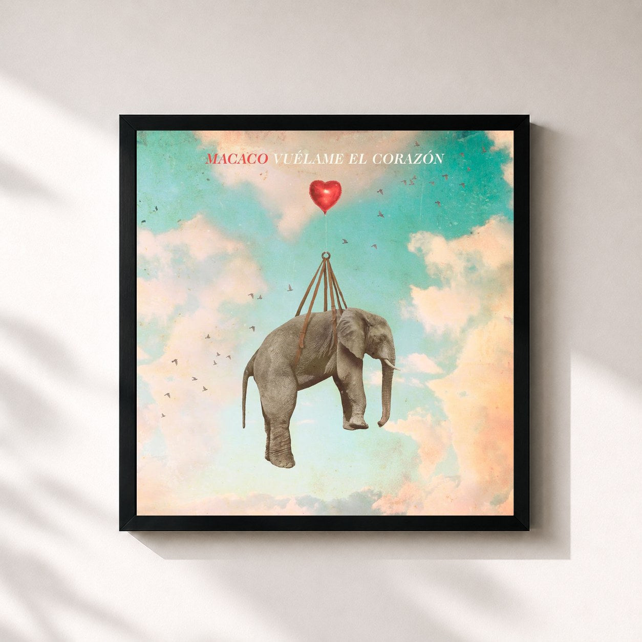 #noir Tableau carré de l'album Vuélame el Corazón de Macaco, cadre noir 32x32 cm