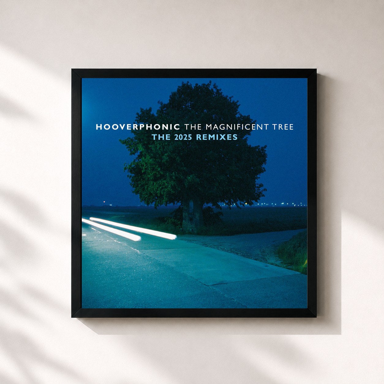#noir Tableau carré de l'album The Magnificent Tree - The 2025 Remixes de Hooverphonic, cadre noir 32x32 cm