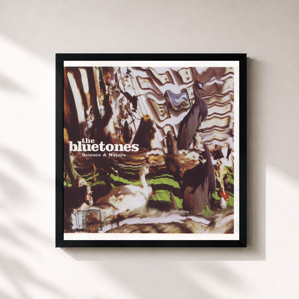 #noir Tableau carré de l'album Science & Nature de The Bluetones, cadre noir 32x32 cm
