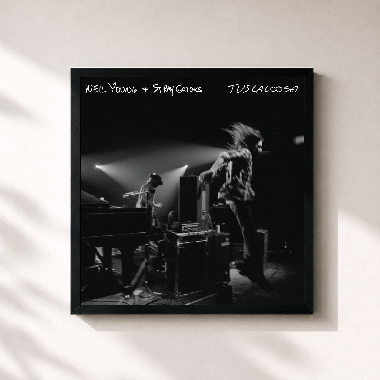 Neil Young · Tuscaloosa (Live)