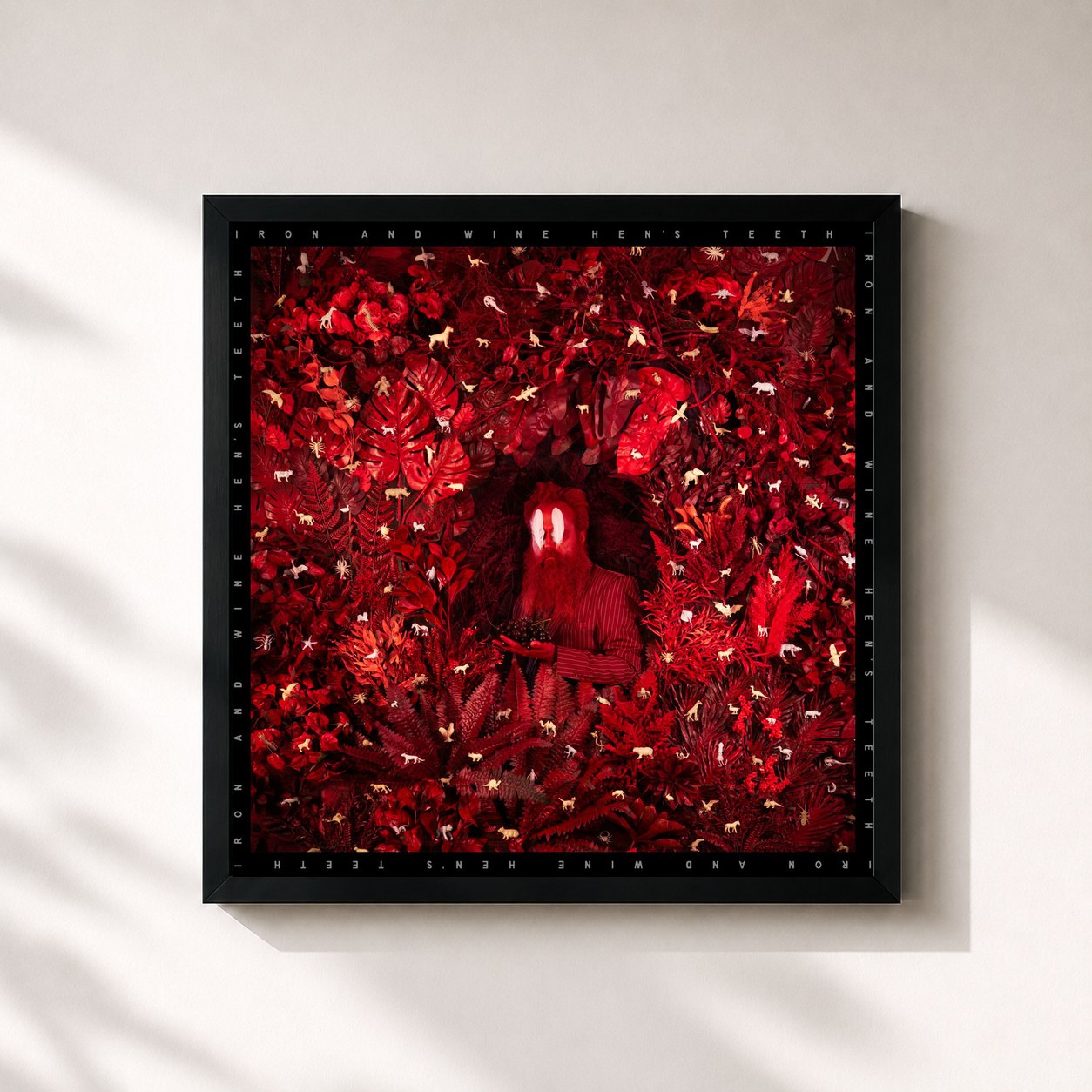 #noir Tableau carré de l'album Hen's Teeth de Iron & Wine, cadre noir 32x32 cm