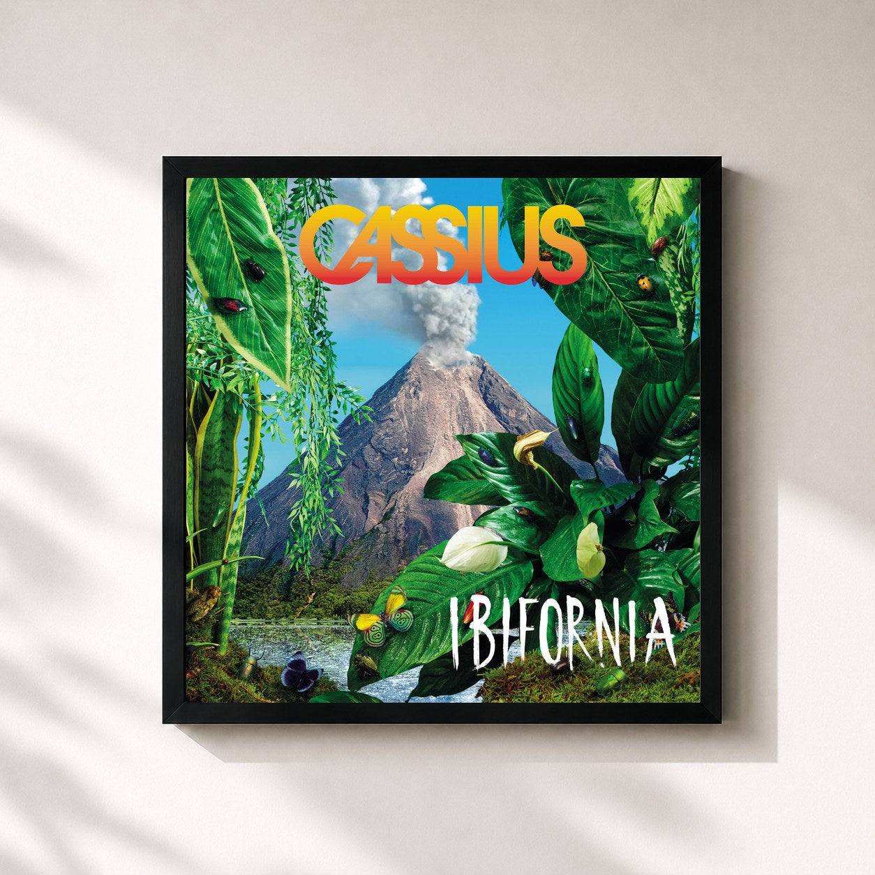 #noir Tableau carré de l'album Ibifornia de Cassius, cadre noir 32x32 cm