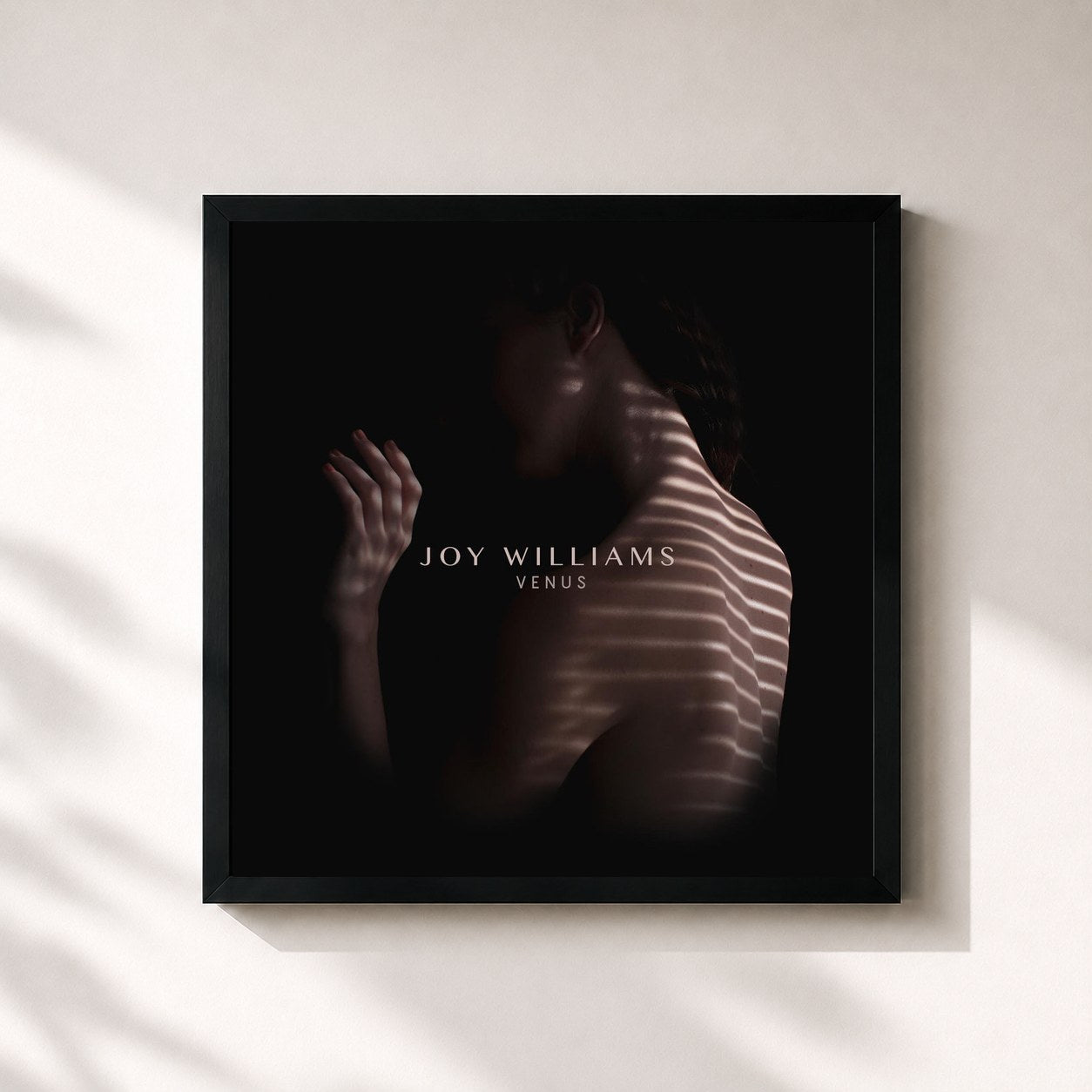 #noir Tableau carré de l'album VENUS de Joy Williams, cadre noir 32x32 cm