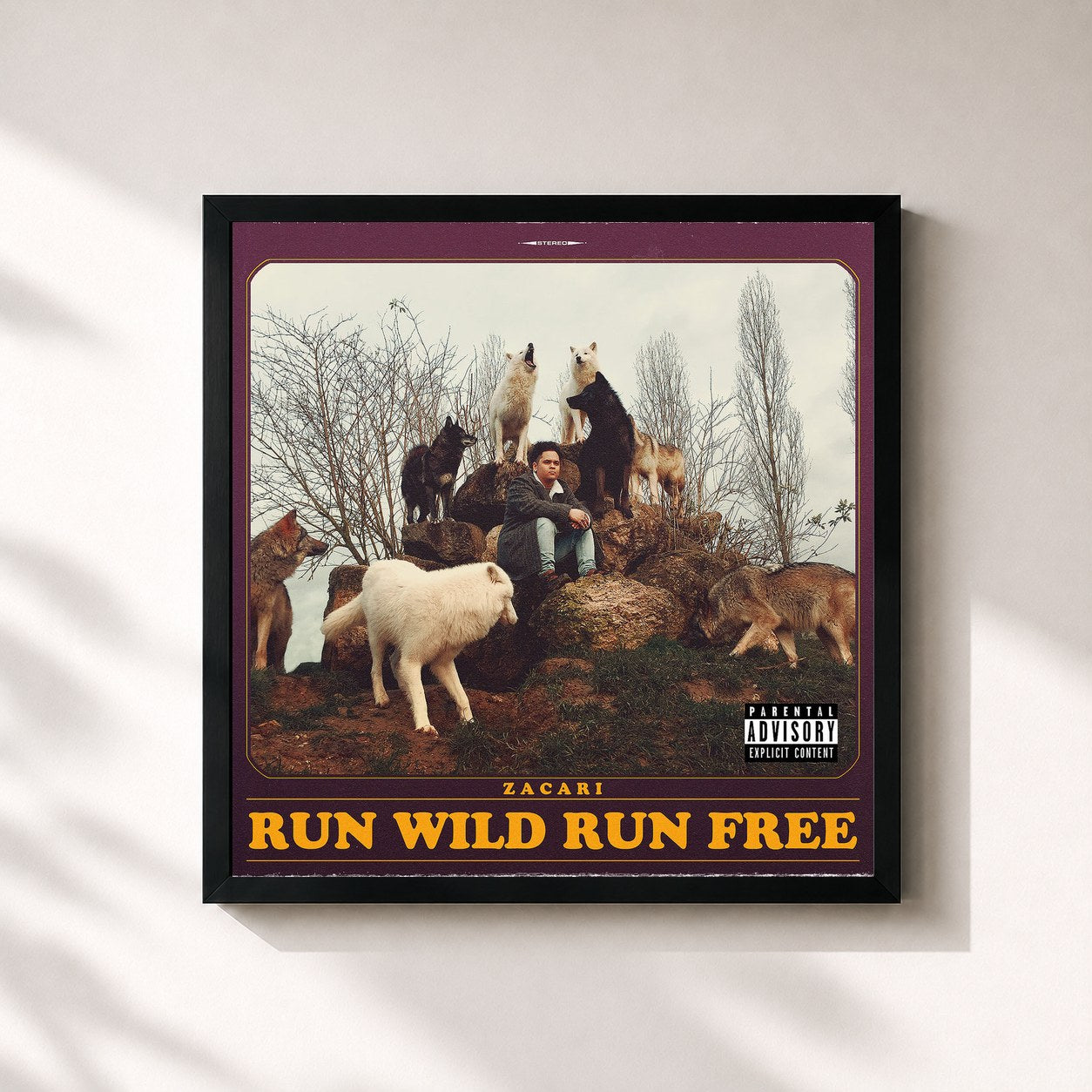 #noir Tableau carré de l'album Run Wild Run Free de Zacari, cadre noir 32x32 cm