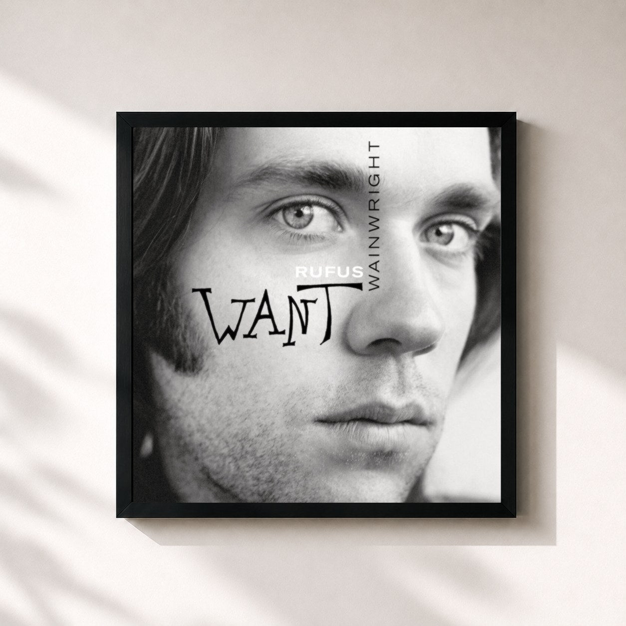 #noir Tableau carré de l'album Want de Rufus Wainwright, cadre noir 32x32 cm