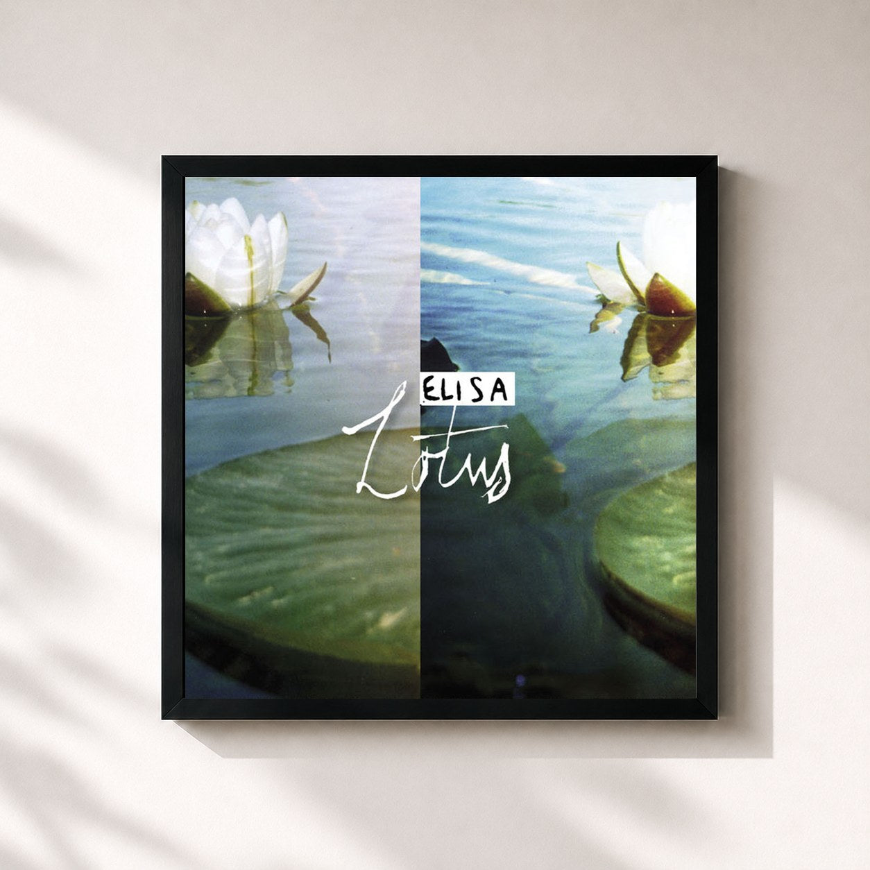 #noir Tableau carré de l'album Lotus de Elisa, cadre noir 32x32 cm