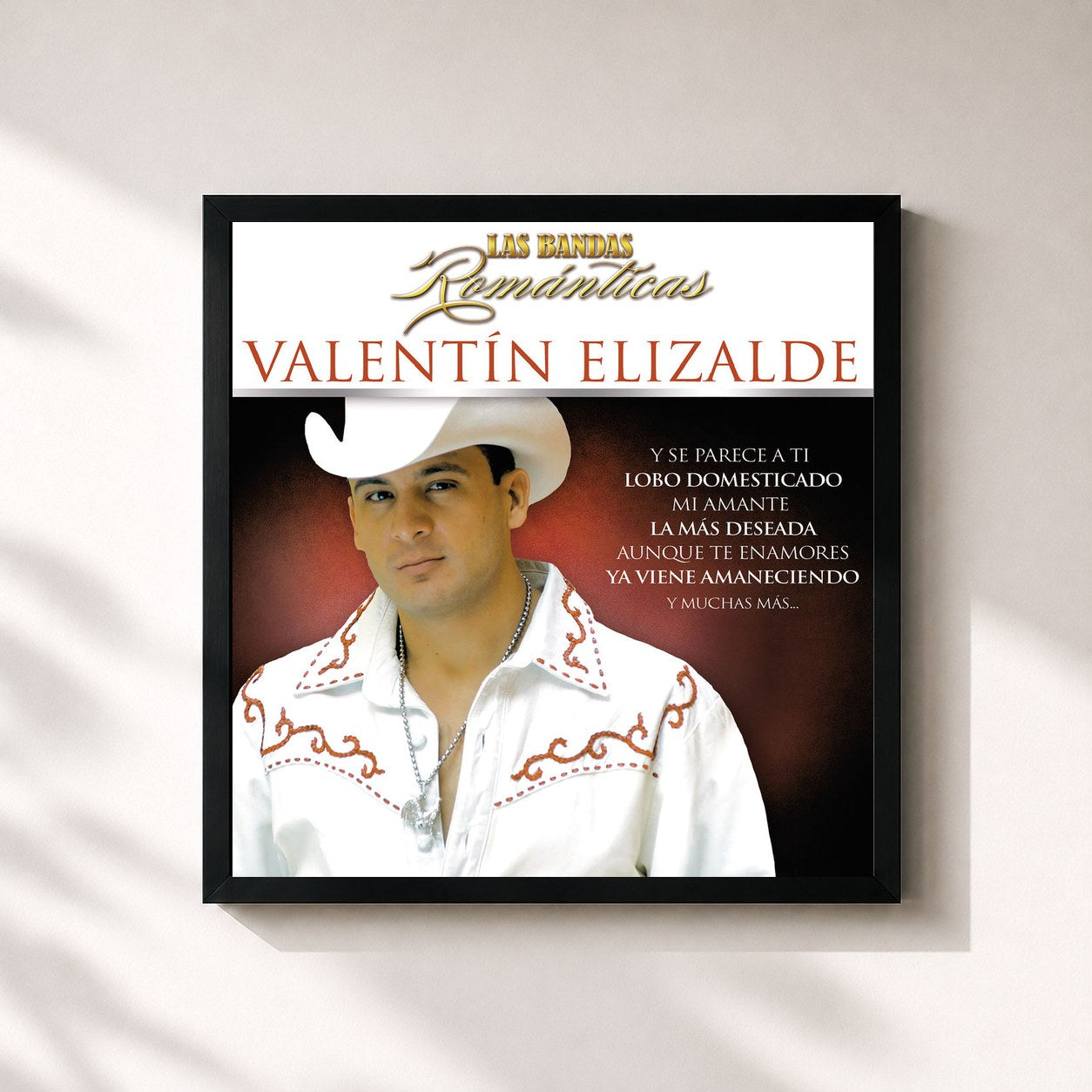 #noir Tableau carré de l'album Las Bandas Románticas de Valentin Elizalde, cadre noir 32x32 cm