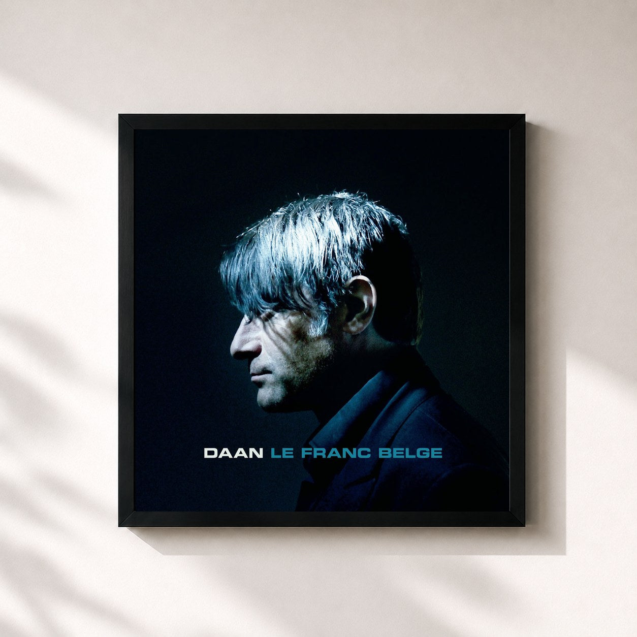 #noir Tableau carré de l'album Le franc belge de Daan, cadre noir 32x32 cm
