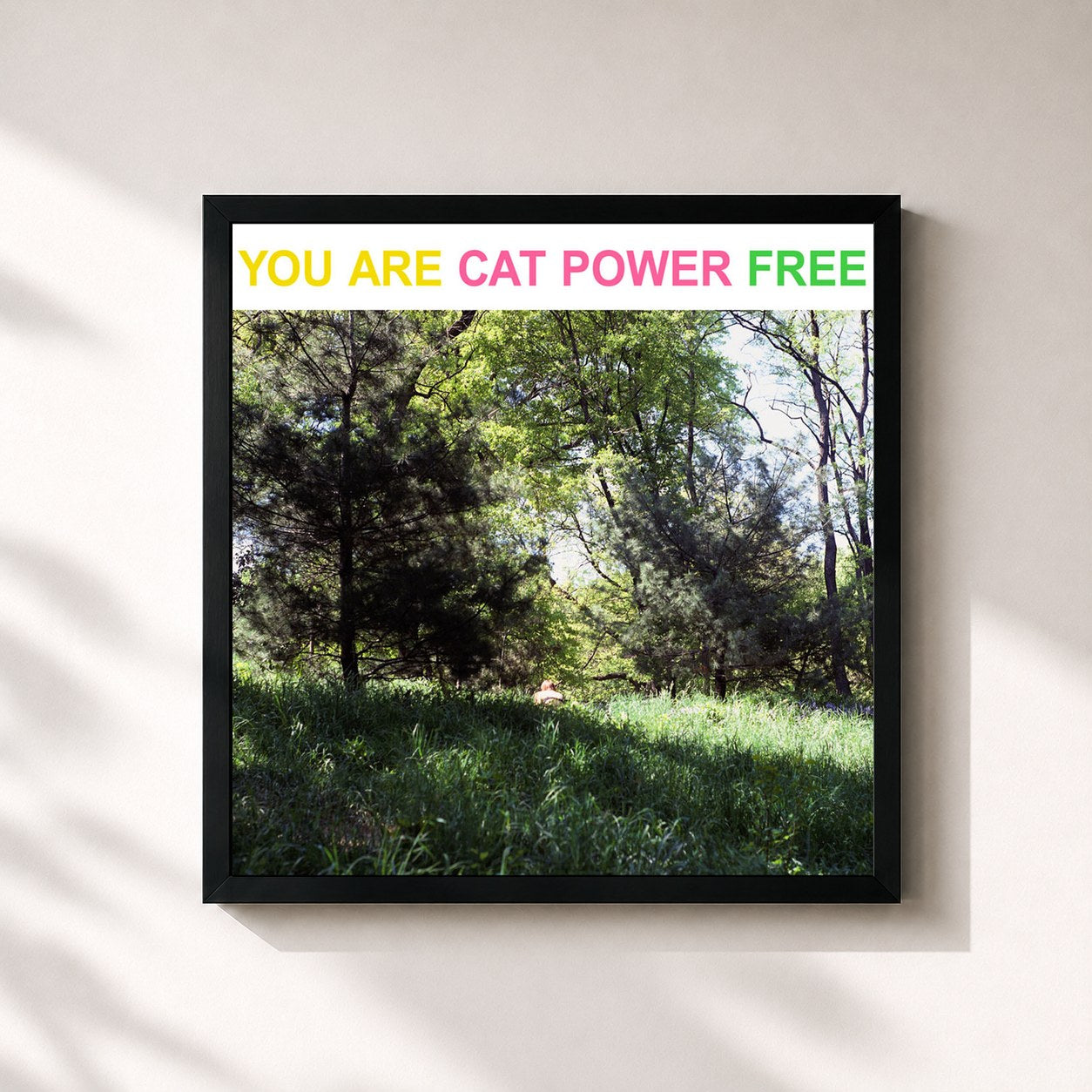#noir Tableau carré de l'album You Are Free de Cat Power, cadre noir 32x32 cm