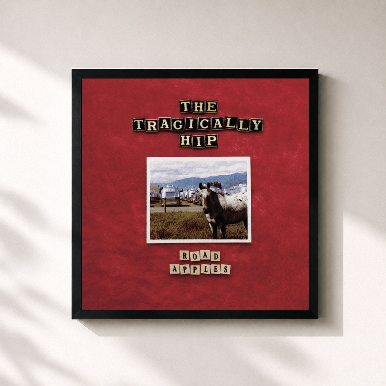 #noir Tableau carré de l'album Road Apples de The Tragically Hip, cadre noir 32x32 cm