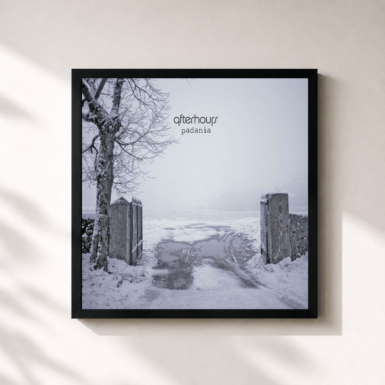 #noir Tableau carré de l'album Padania de AFTERHOURS, cadre noir 32x32 cm