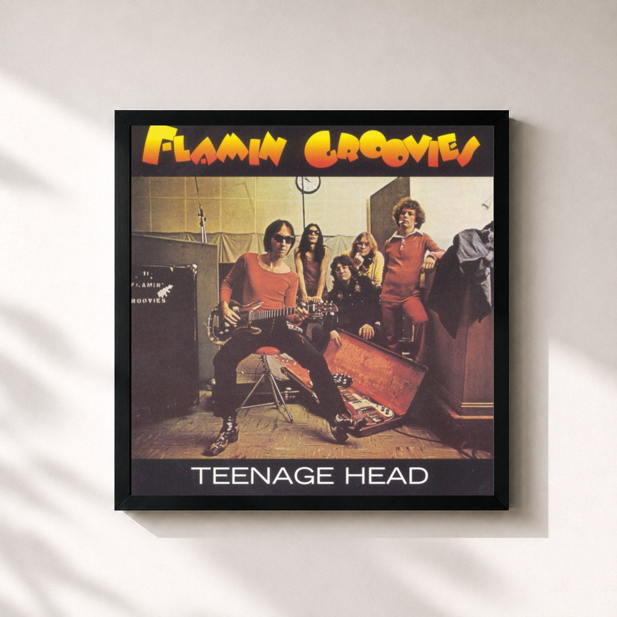 Flamin' Groovies · Teenage Head