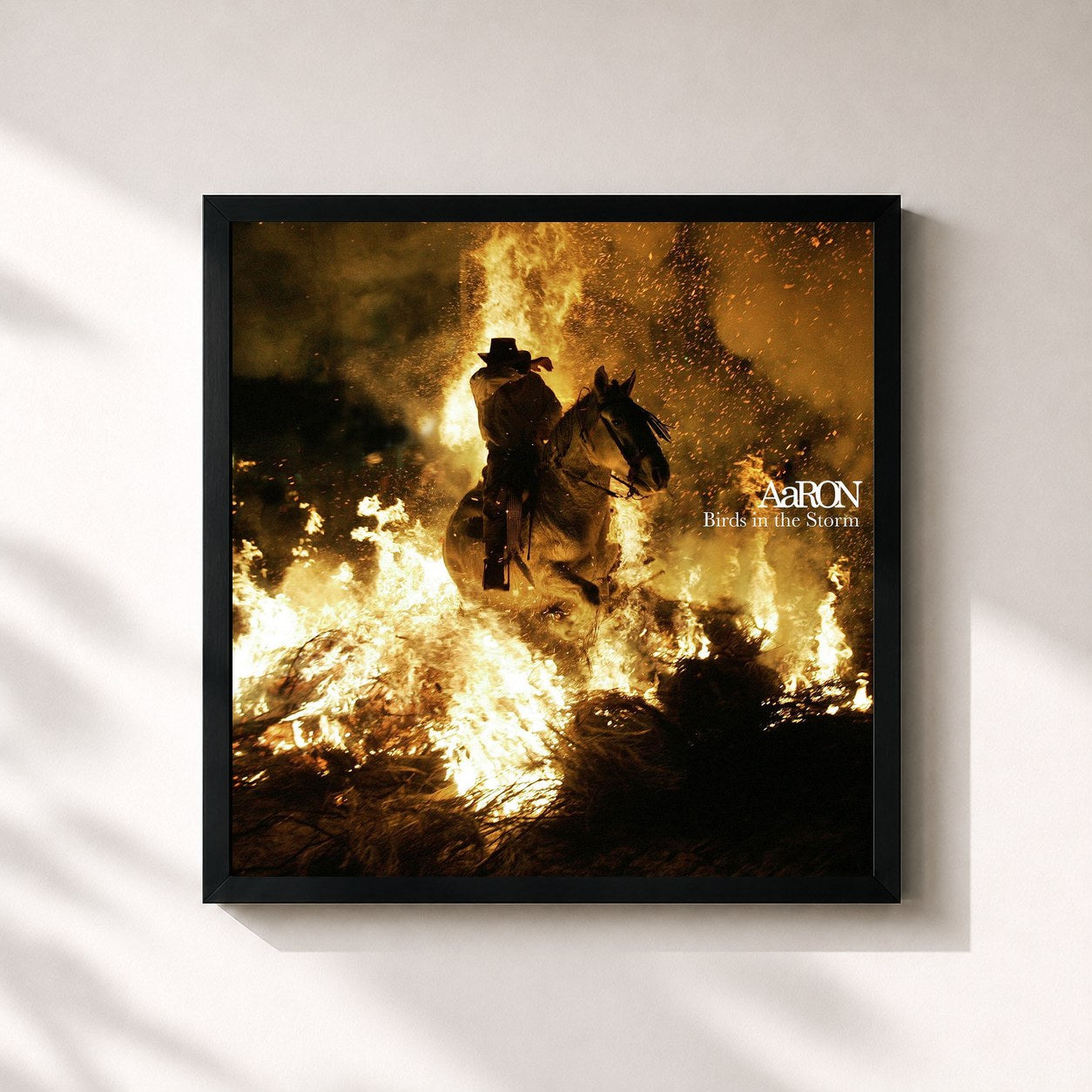 #noir Tableau carré de l'album Birds in the Storm de AaRON, cadre noir 32x32 cm