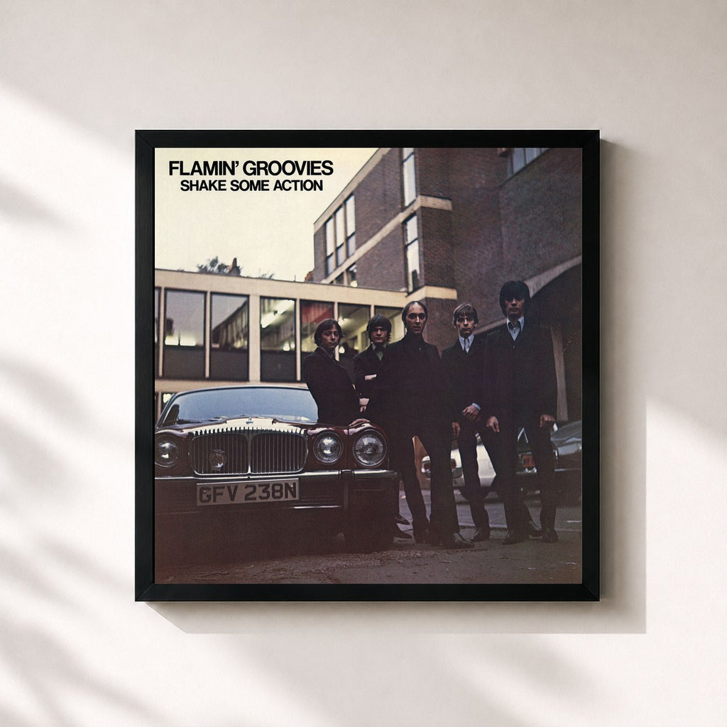 Flamin' Groovies · Shake Some Action