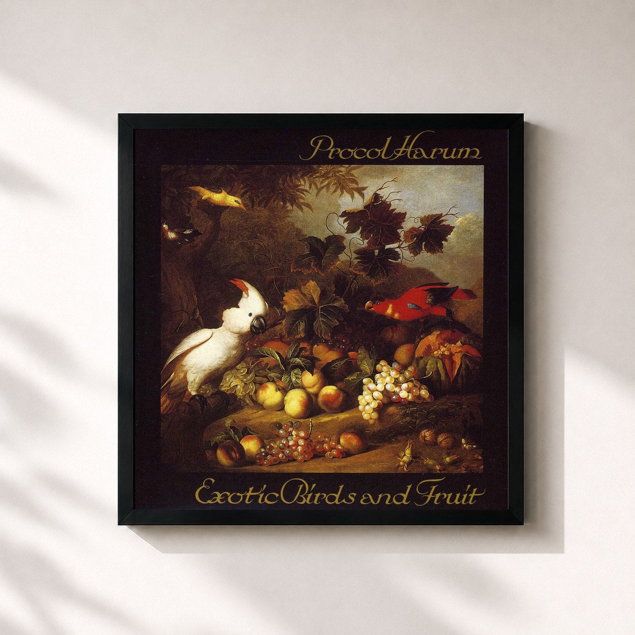 #noir Tableau carré de l'album Exotic Birds and Fruit de Procol Harum, cadre noir 32x32 cm