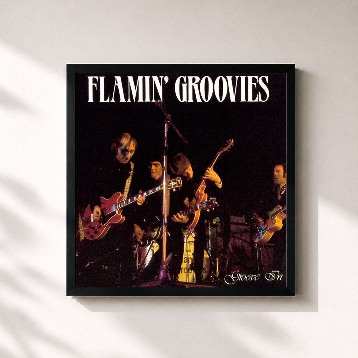 Flamin' Groovies · Groove In