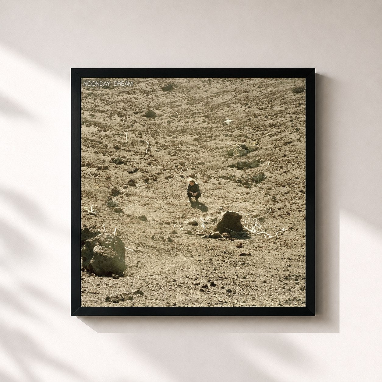 #noir Tableau carré de l'album Noonday Dream de Ben Howard, cadre noir 32x32 cm