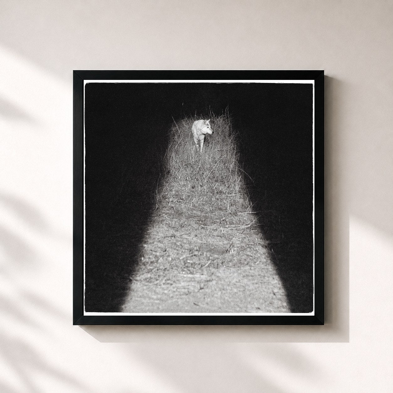 #noir Tableau carré de l'album Bliss de Zacari, cadre noir 32x32 cm