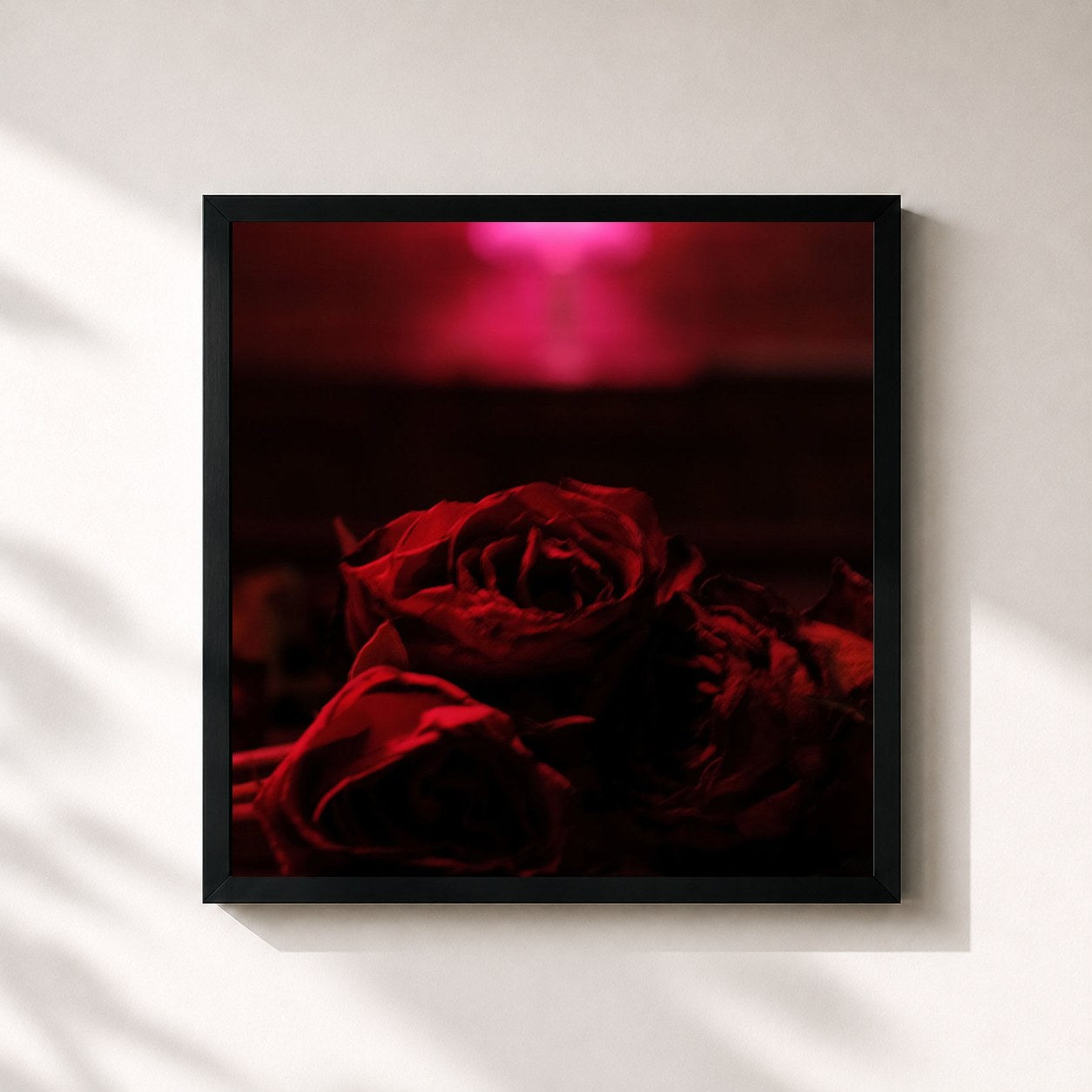 #noir Tableau carré de l'album Roses de The Paper Kites, cadre noir 32x32 cm