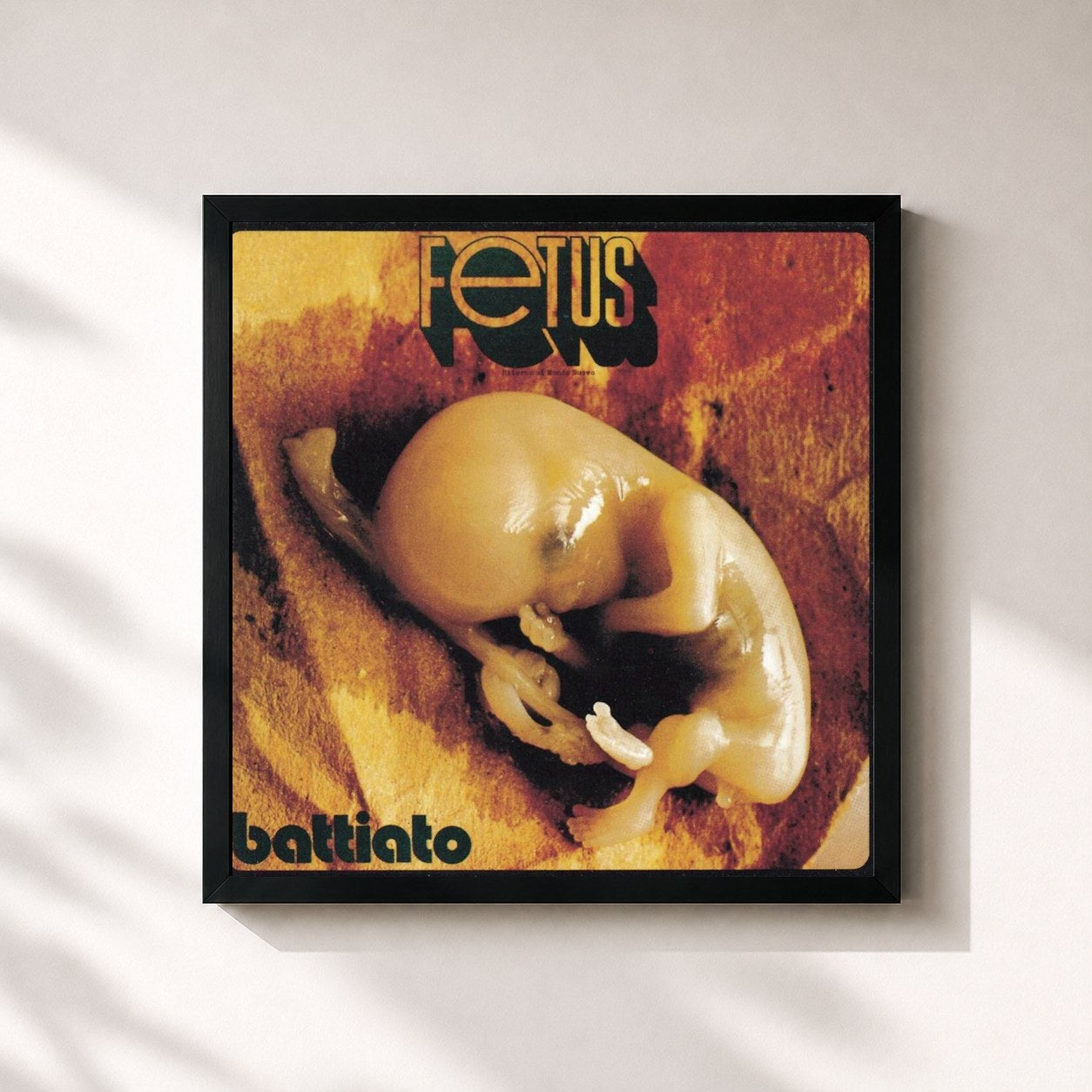 #noir Tableau carré de l'album Fetus de Franco Battiato, cadre noir 32x32 cm
