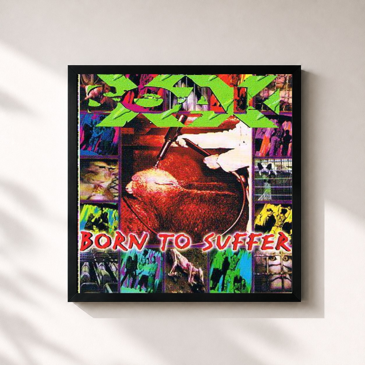 #noir Tableau carré de l'album Born To Suffer de Soak, cadre noir 32x32 cm