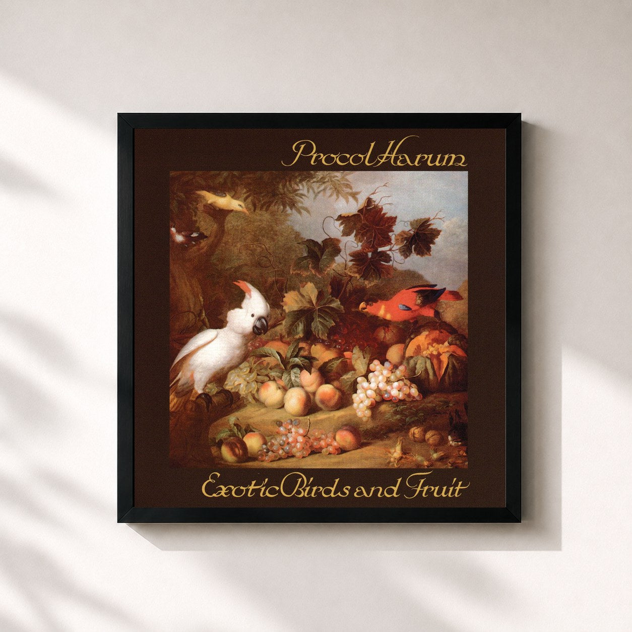 #noir Tableau carré de l'album Exotic Birds and Fruit (Expanded Edition) de Procol Harum, cadre noir 32x32 cm