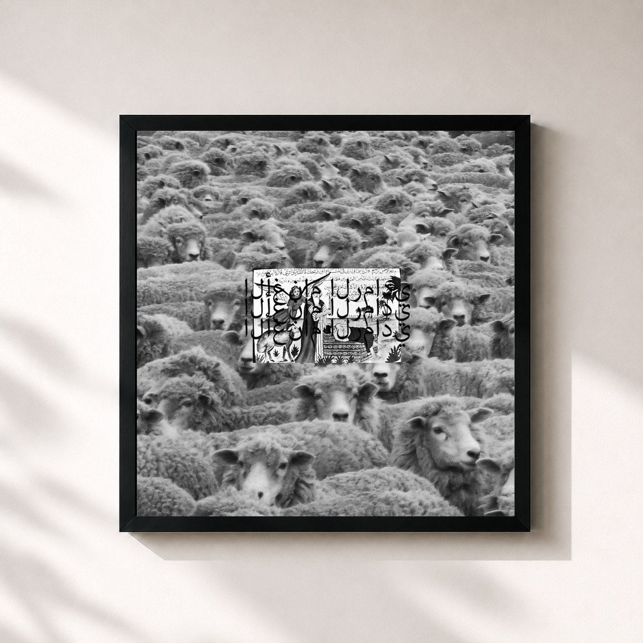 #noir Tableau carré de l'album Grey Sheep II de $uicideboy$, cadre noir 32x32 cm