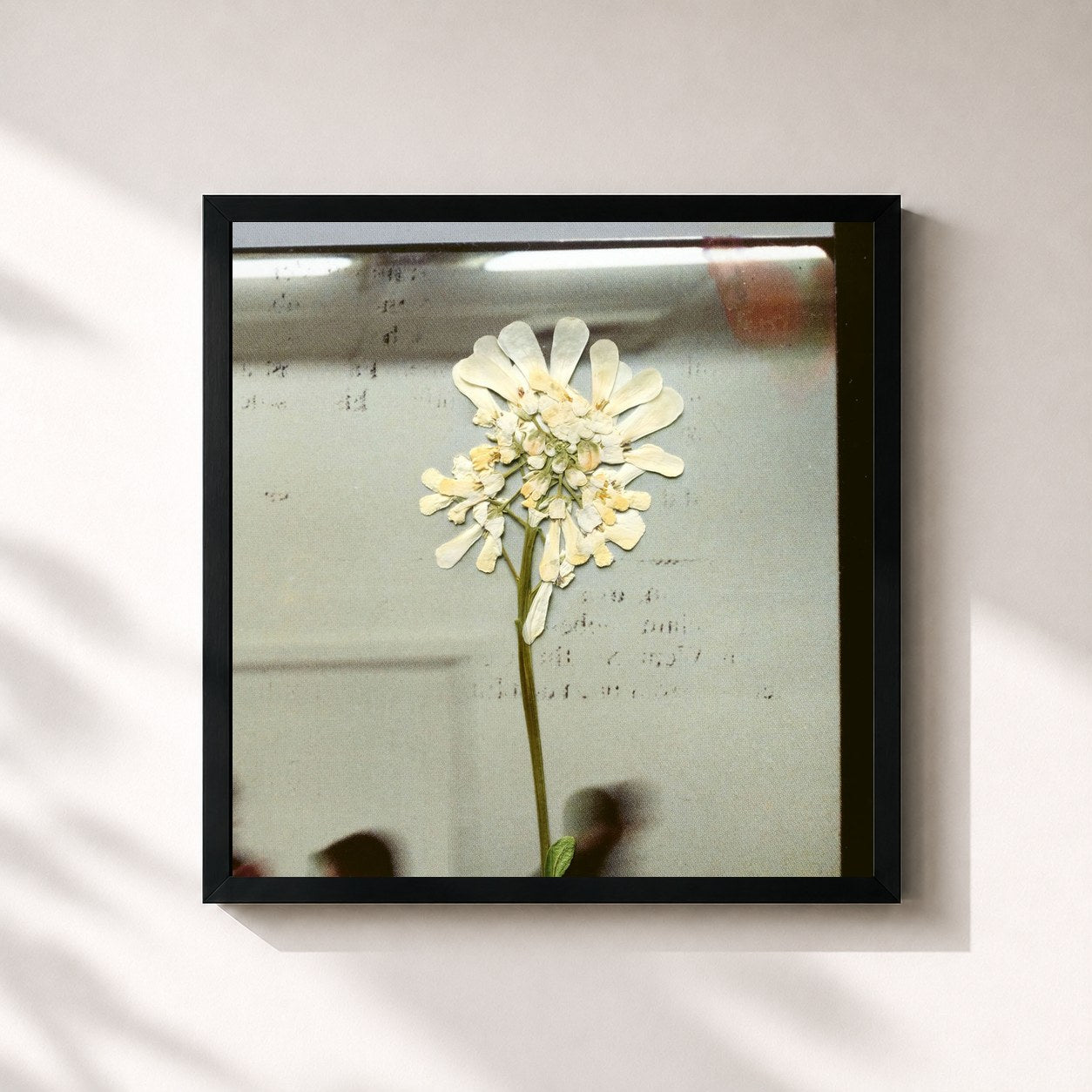 #noir Tableau carré de l'album Stereo Mind Game de DAUGHTER, cadre noir 32x32 cm