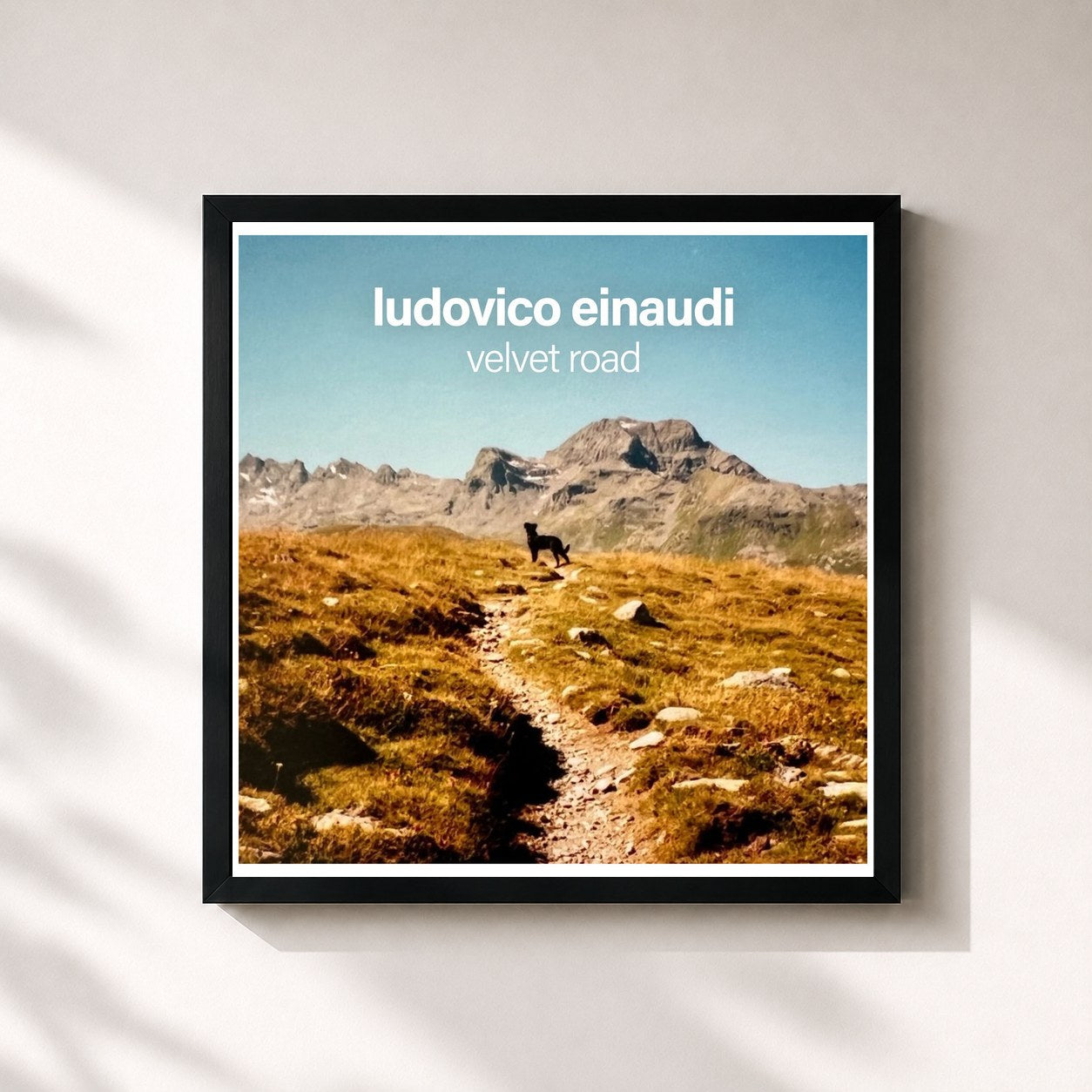 #noir Tableau carré de l'album Velvet Road de Ludovico Einaudi, cadre noir 32x32 cm