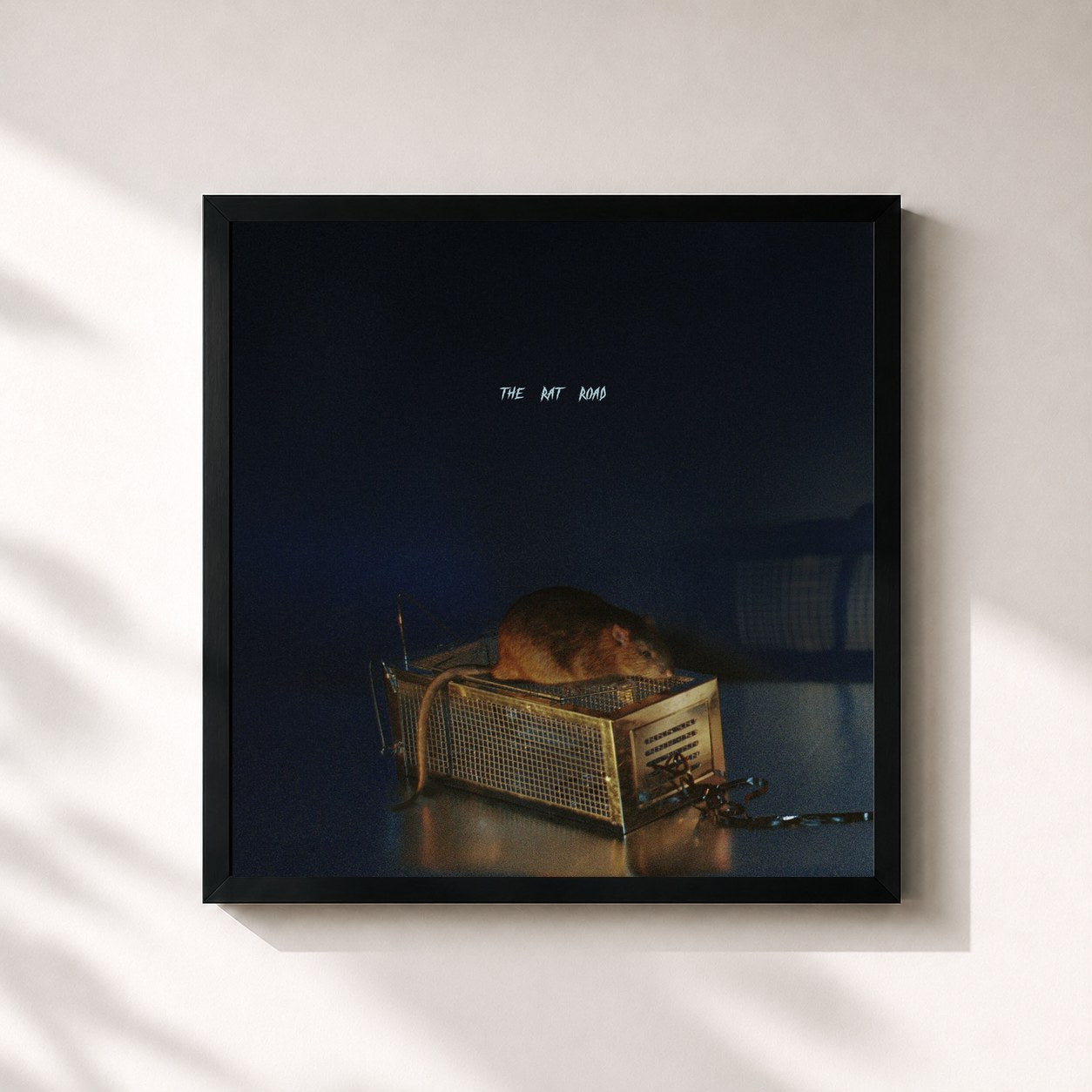 #noir Tableau carré de l'album THE RAT ROAD de SBTRKT, cadre noir 32x32 cm