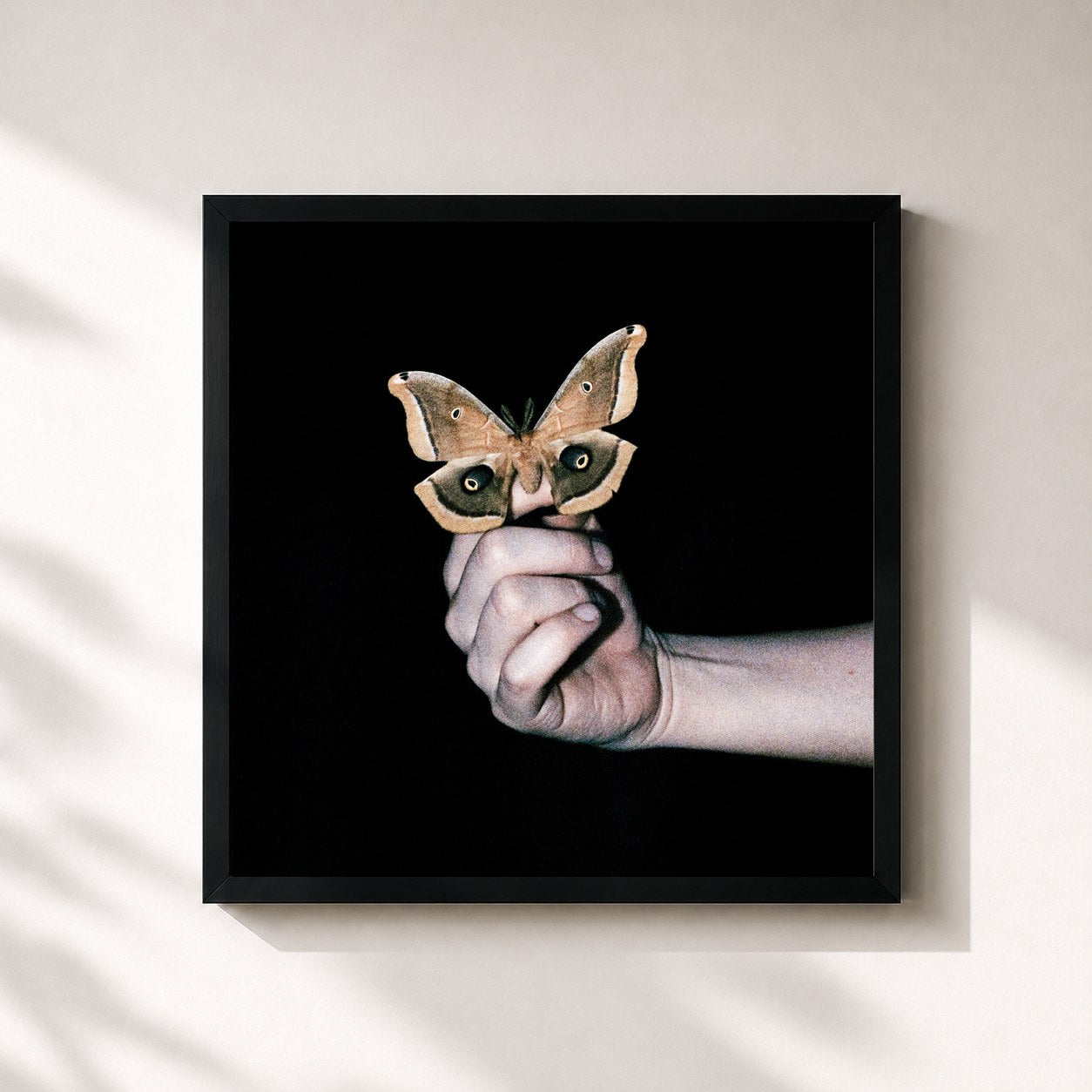 #noir Tableau carré de l'album All Systems Are Lying de Soulwax, cadre noir 32x32 cm