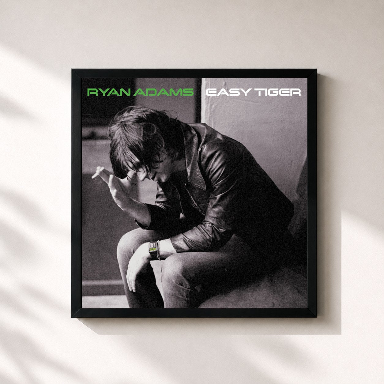 #noir Tableau carré de l'album Easy Tiger de Ryan Adams, cadre noir 32x32 cm