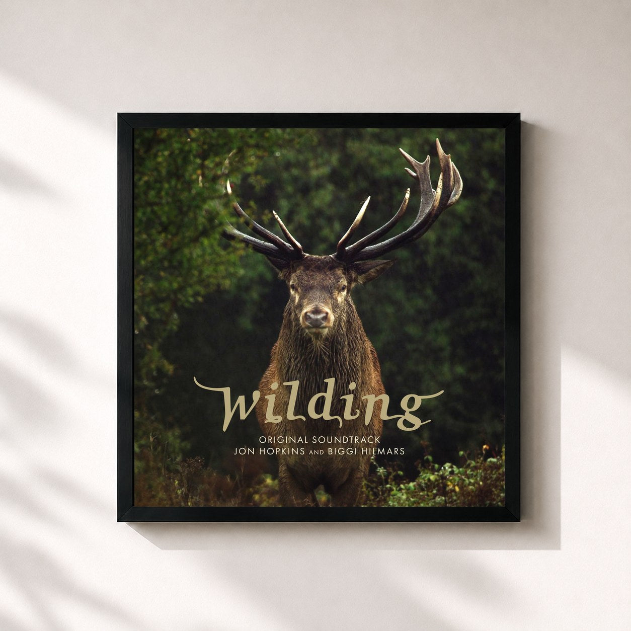 #noir Tableau carré de l'album Wilding (Original Soundtrack) de Jon Hopkins, cadre noir 32x32 cm