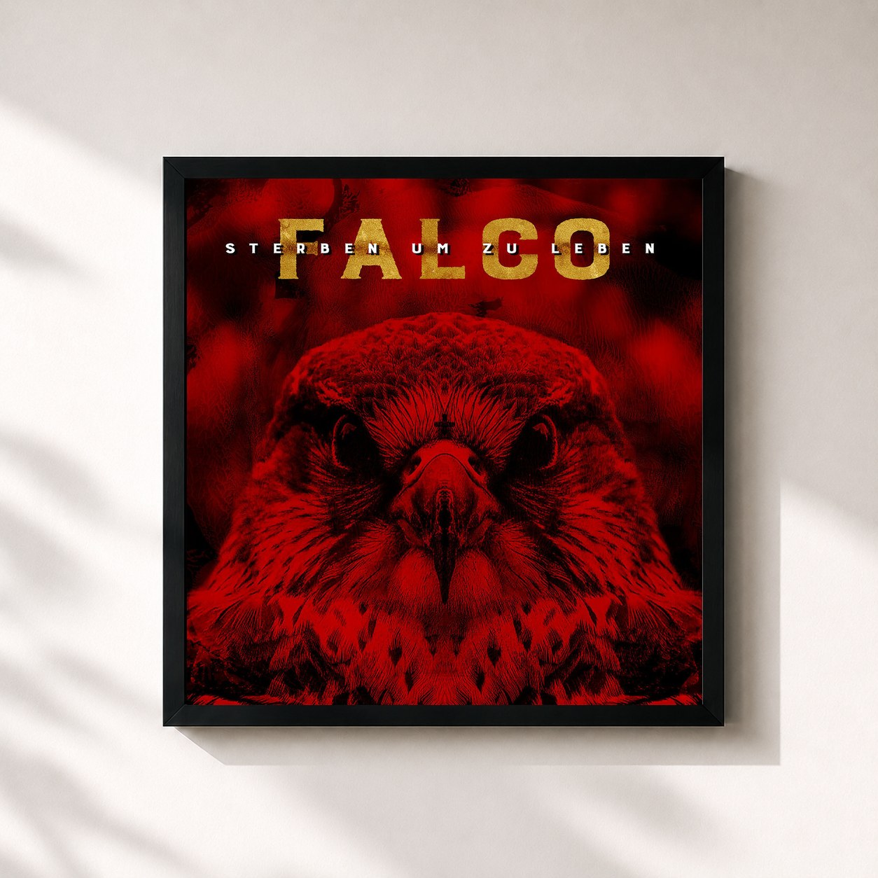 #noir Tableau carré de l'album Falco - Sterben um zu Leben de Falco, cadre noir 32x32 cm