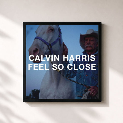 Calvin Harris · Feel So Close — Affiche encadrée
