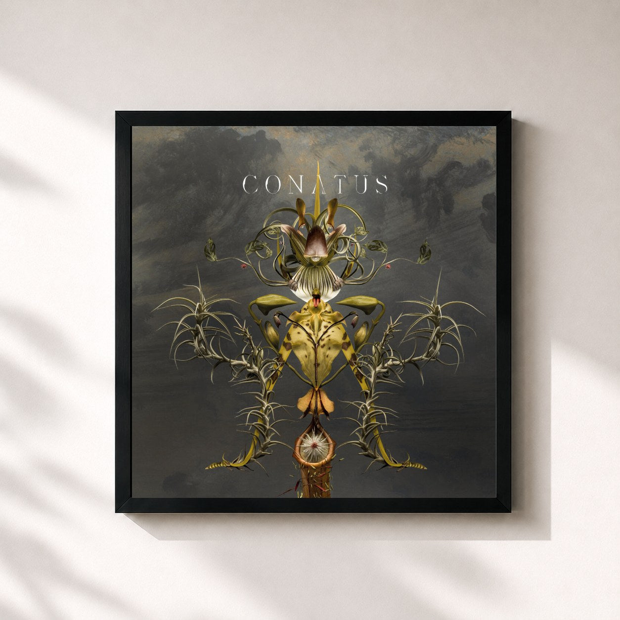 #noir Tableau carré de l'album Conatus de Joep Beving, cadre noir 32x32 cm