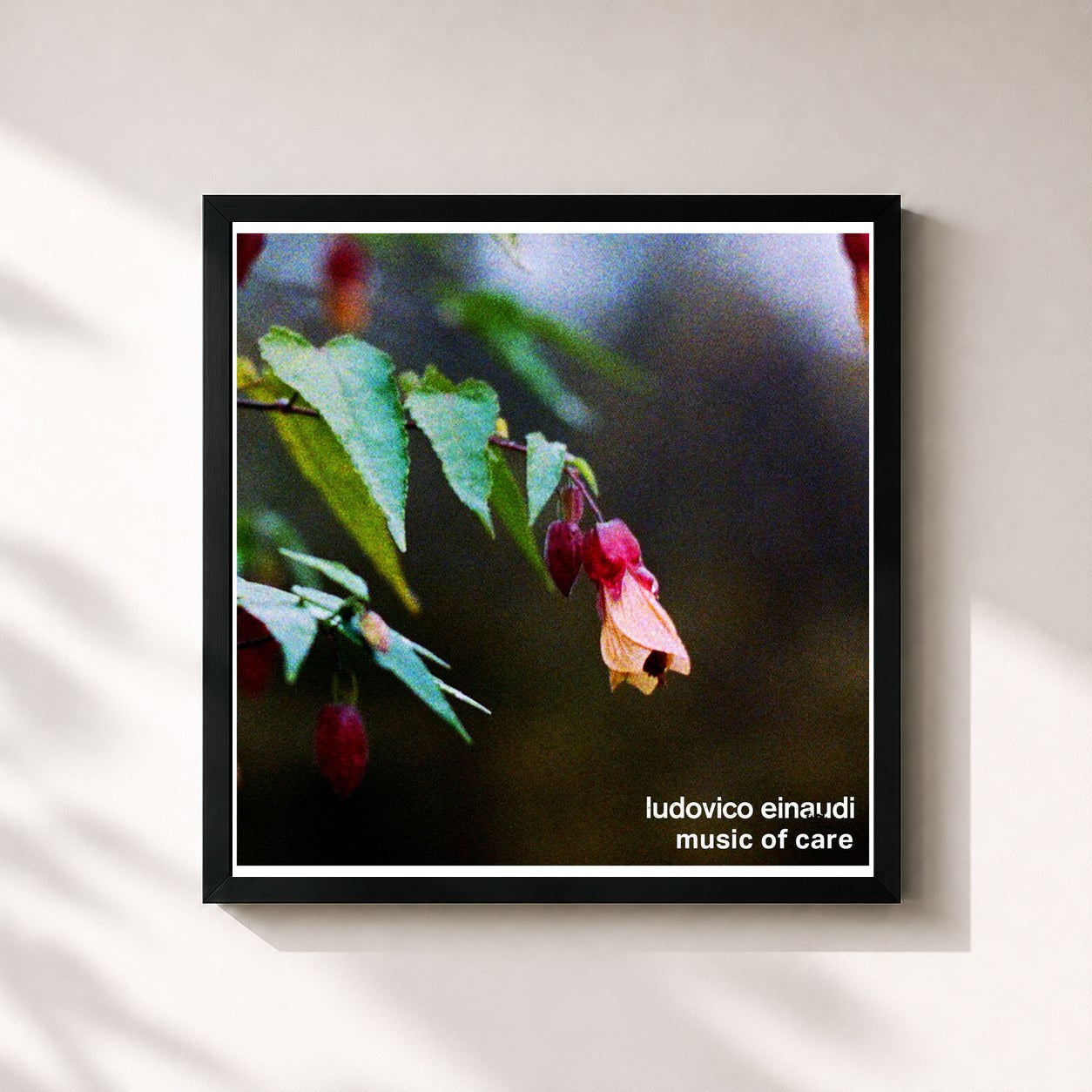#noir Tableau carré de l'album Music of Care de Ludovico Einaudi, cadre noir 32x32 cm