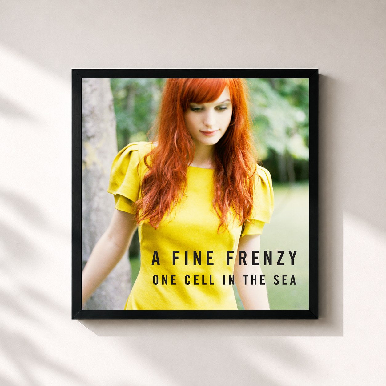 #noir Tableau carré de l'album One Cell In The Sea de A Fine Frenzy, cadre noir 32x32 cm