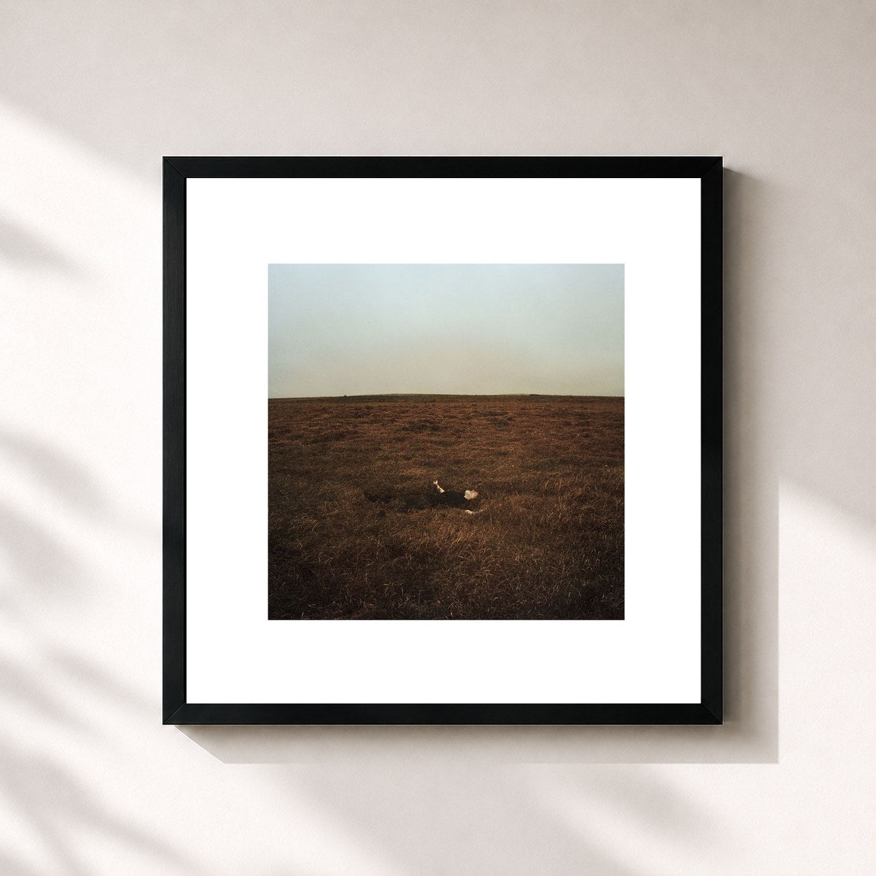 #noir Tableau carré de l'album The City Is Coming To Erase It All de Fink, cadre noir 32x32 cm