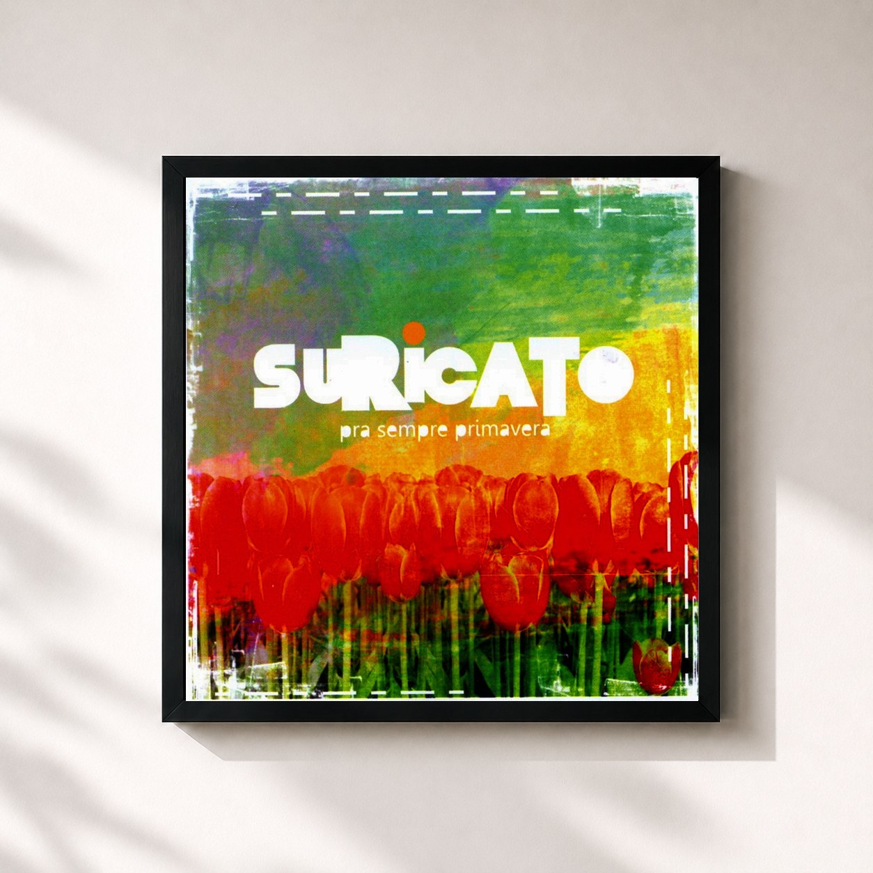 #noir Tableau carré de l'album Pra Sempre Primavera de Suricato, cadre noir 32x32 cm