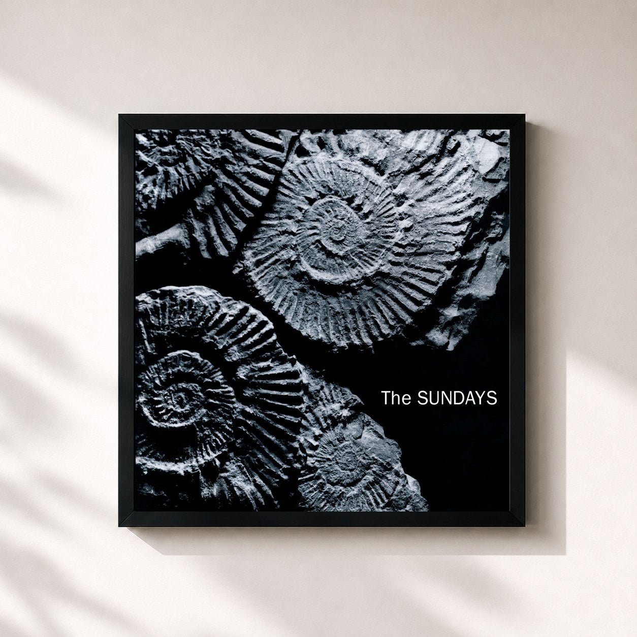 #noir Tableau carré de l'album Reading Writing And Arithmetic de The Sundays, cadre noir 32x32 cm