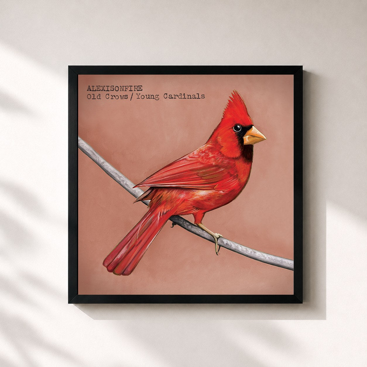 #noir Tableau carré de l'album Old Crows / Young Cardinals de Alexisonfire, cadre noir 32x32 cm