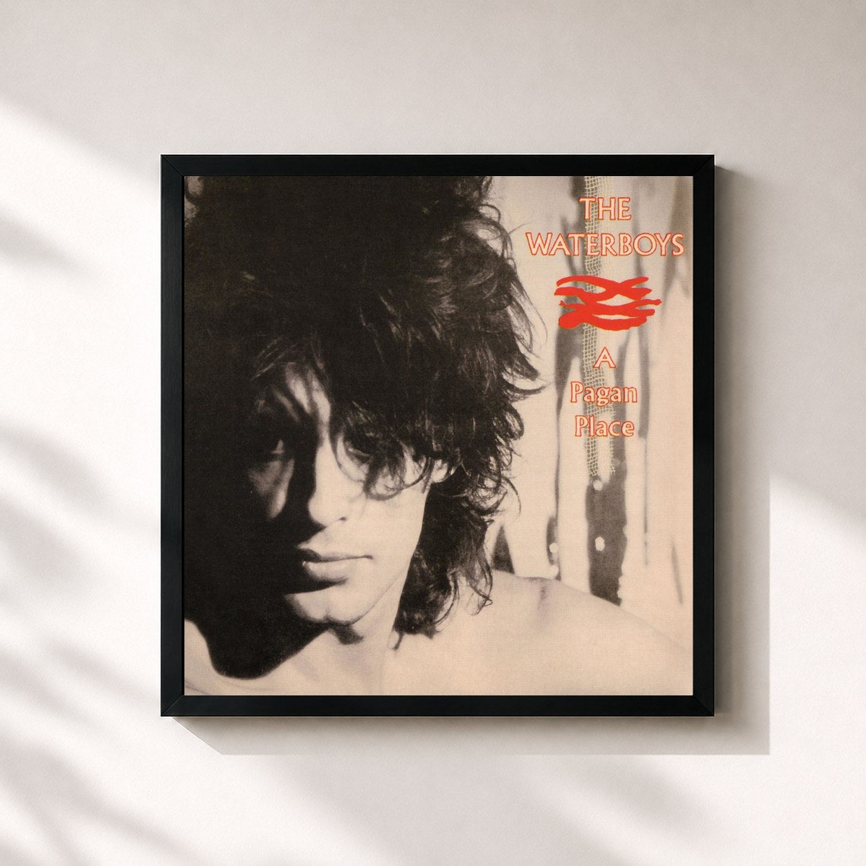 The Waterboys · A Pagan Place