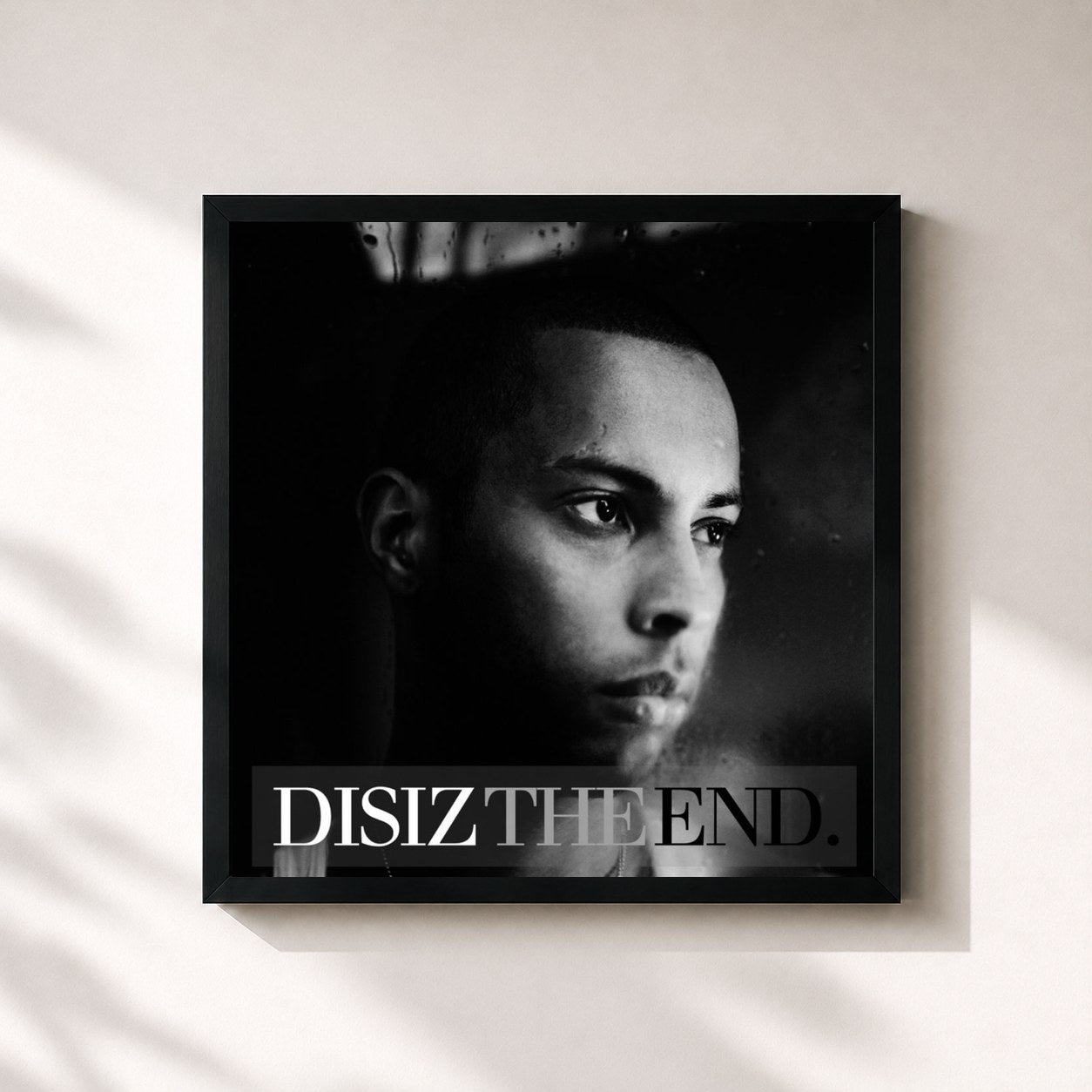disiz · Disiz the End