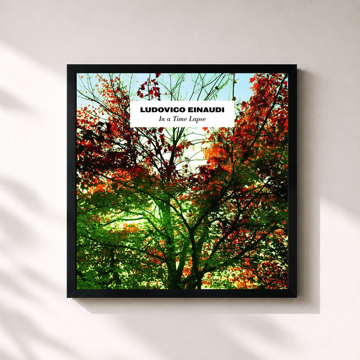 #noir Tableau carré de l'album Einaudi: In a time lapse de Ludovico Einaudi, cadre noir 32x32 cm