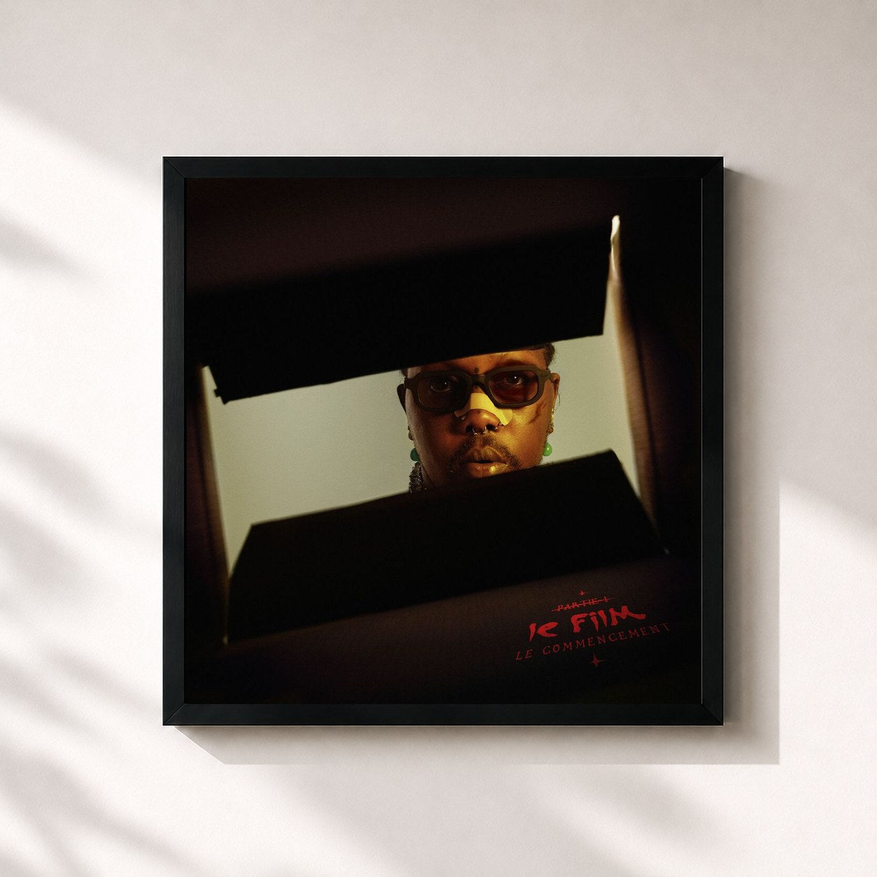 #noir Tableau carré de l'album Le film : Le commencement de Zuukou mayzie, cadre noir 32x32 cm