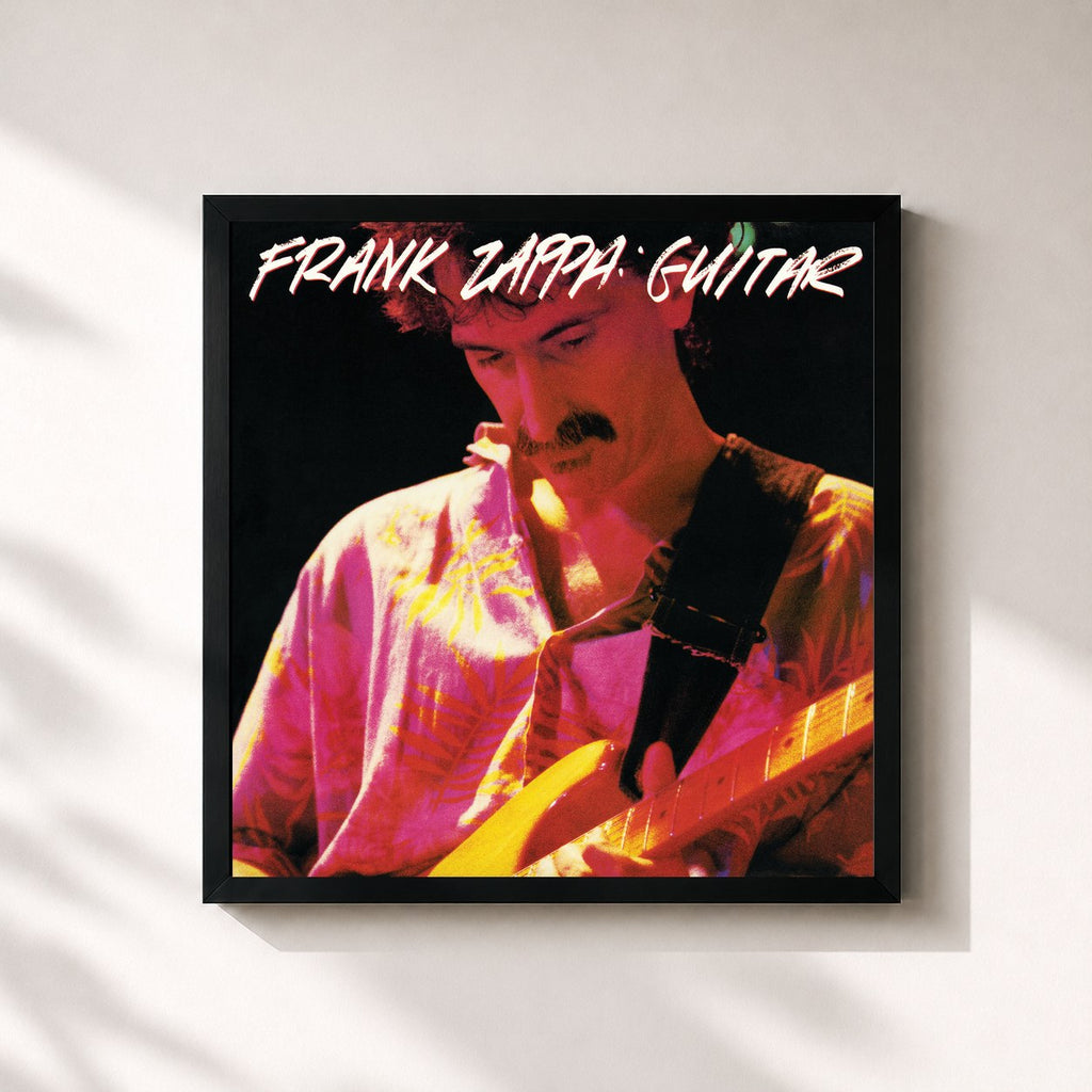 Frank Zappa · Guitar