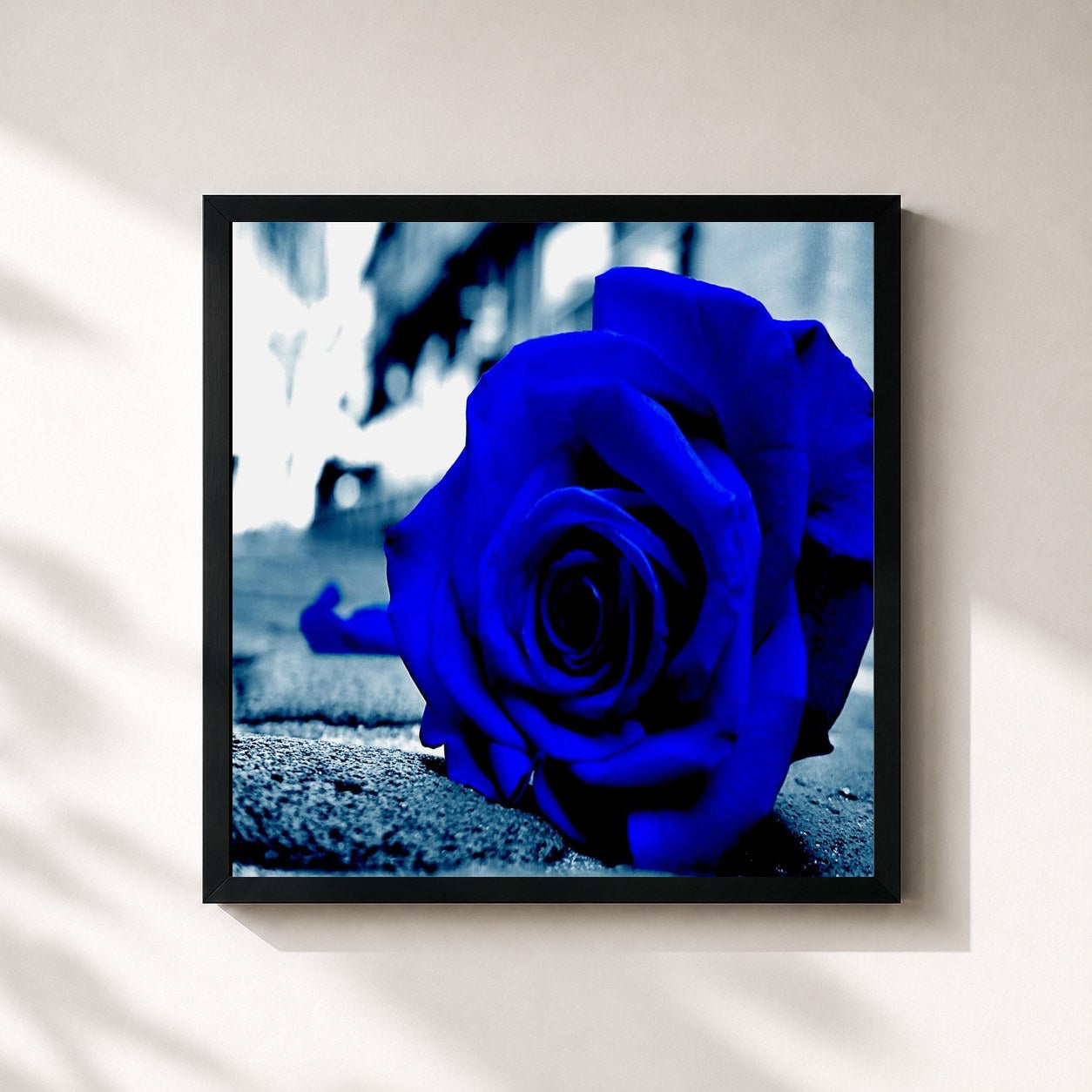 #noir Tableau carré de l'album Conejos Finest de Loonie, cadre noir 32x32 cm