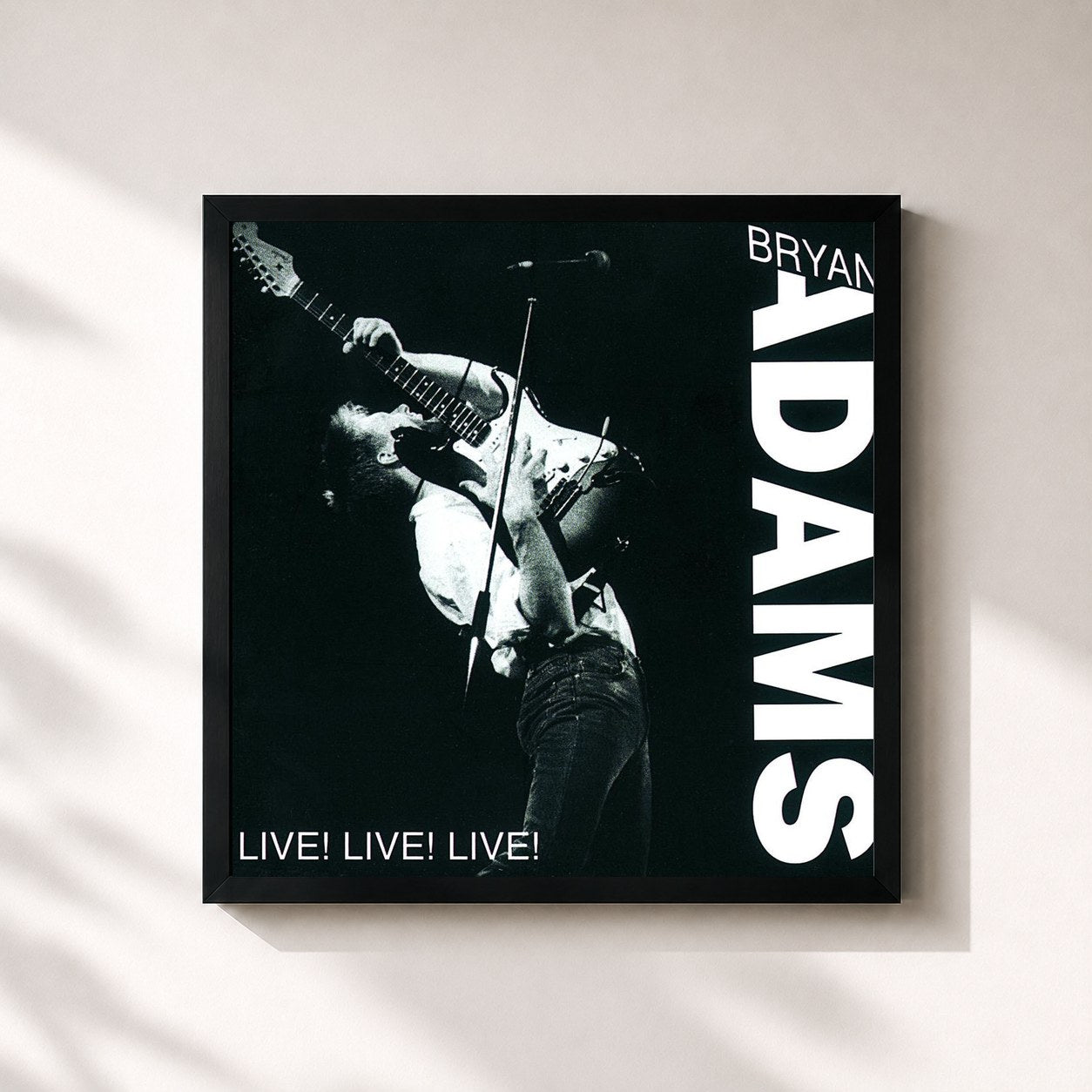 Bryan Adams · Live! Live! Live!