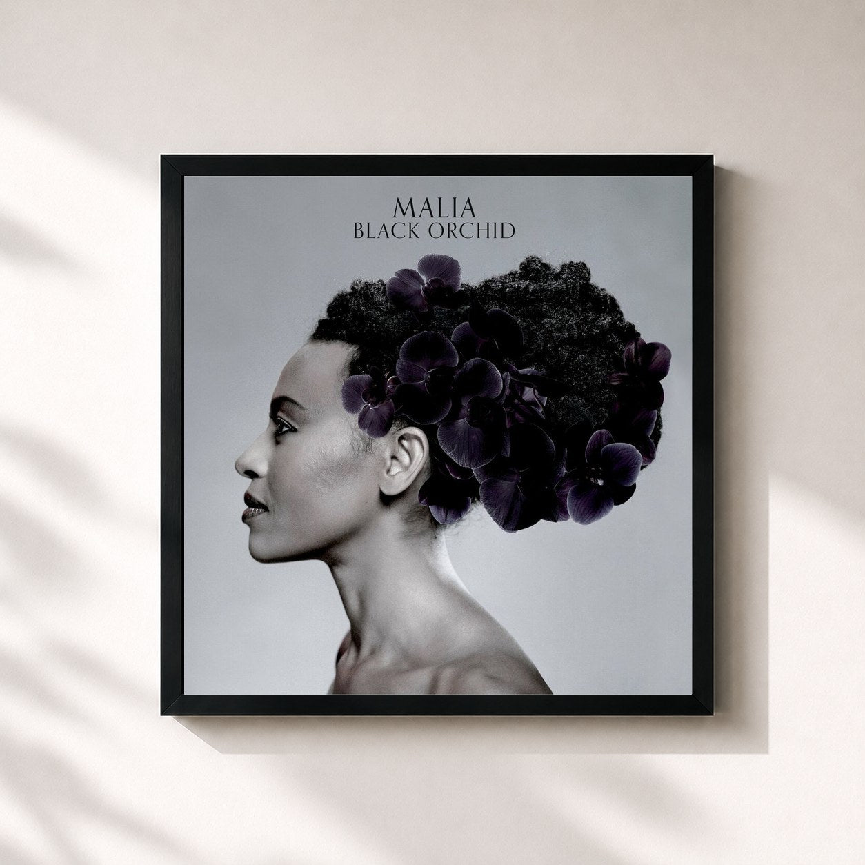 #noir Tableau carré de l'album Black Orchid de Malia, cadre noir 32x32 cm